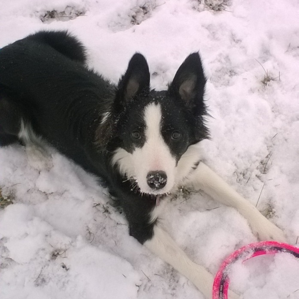 Meet your Posher, Heather